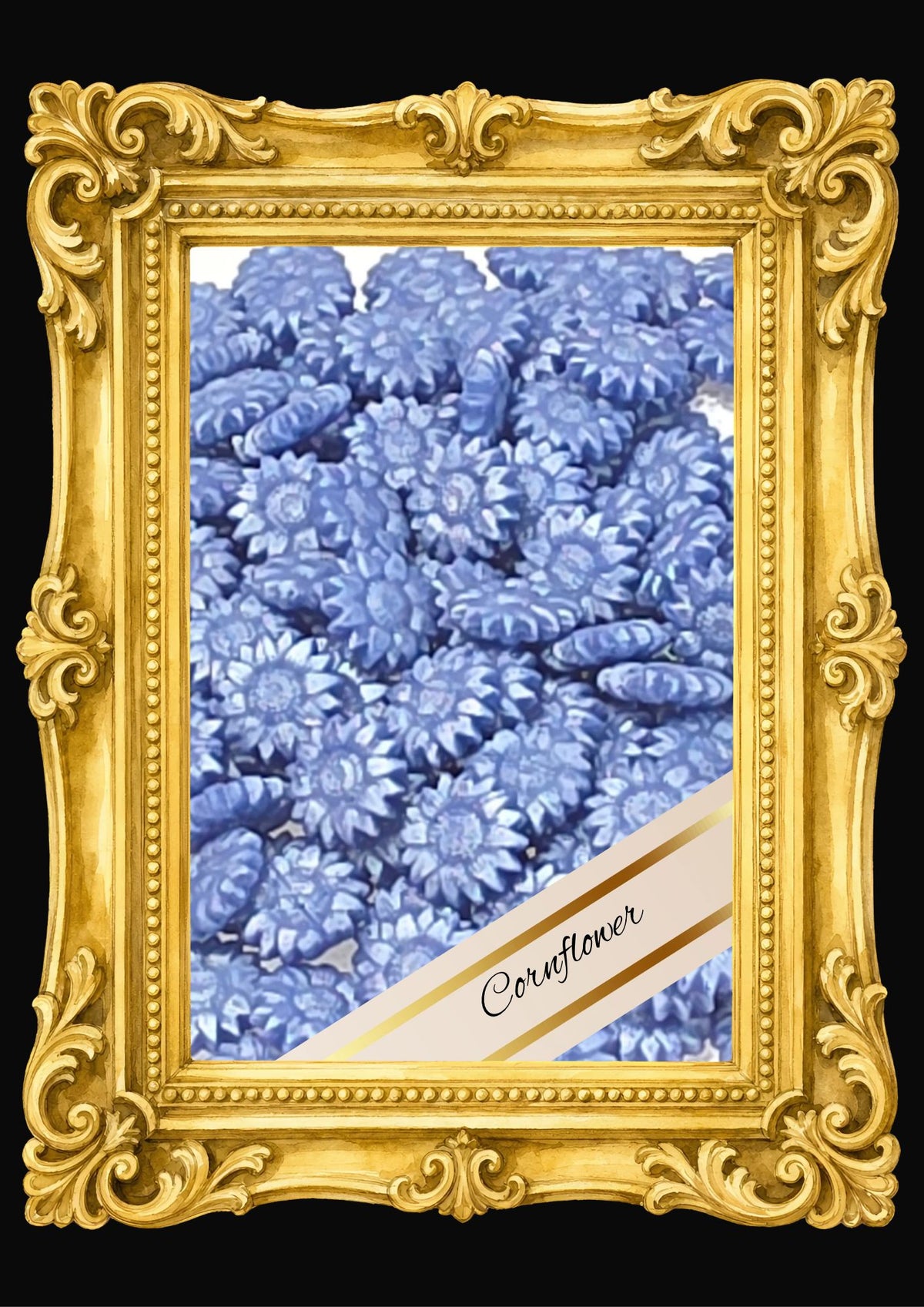 Wax Beads - Blues